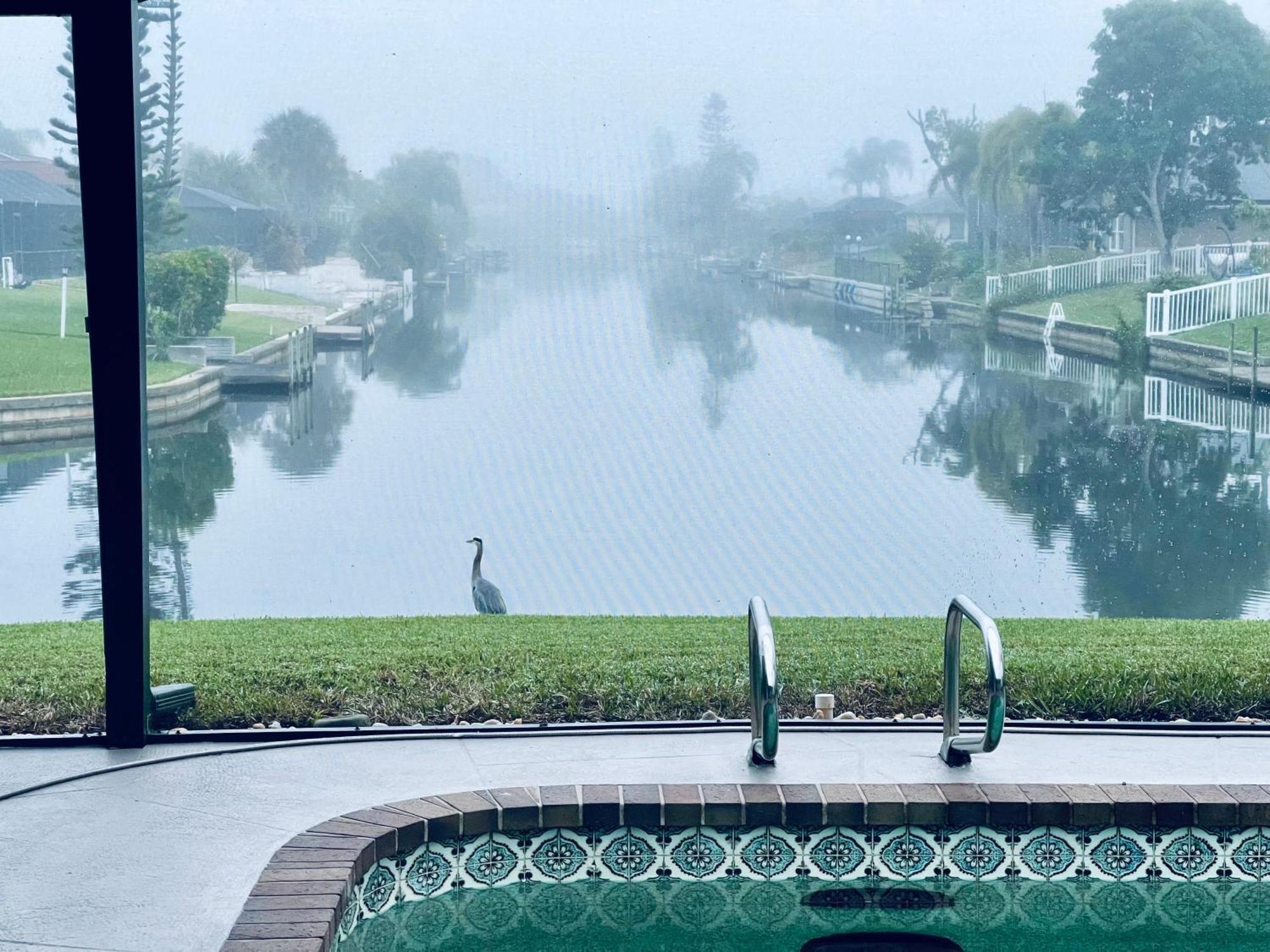 Serenity Waterfront Villa With King Suite, Private Pool, Great Lanai Enclosure And Long Water Views Cape Coral Eksteriør billede